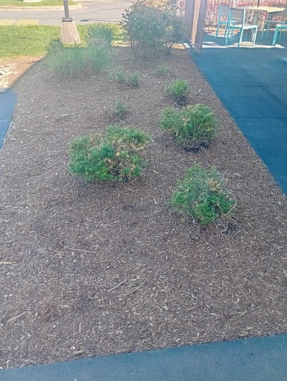 Alvarado Landscaping Image